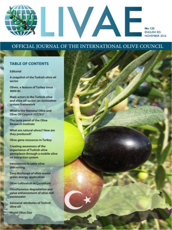 Cover Olivae 123