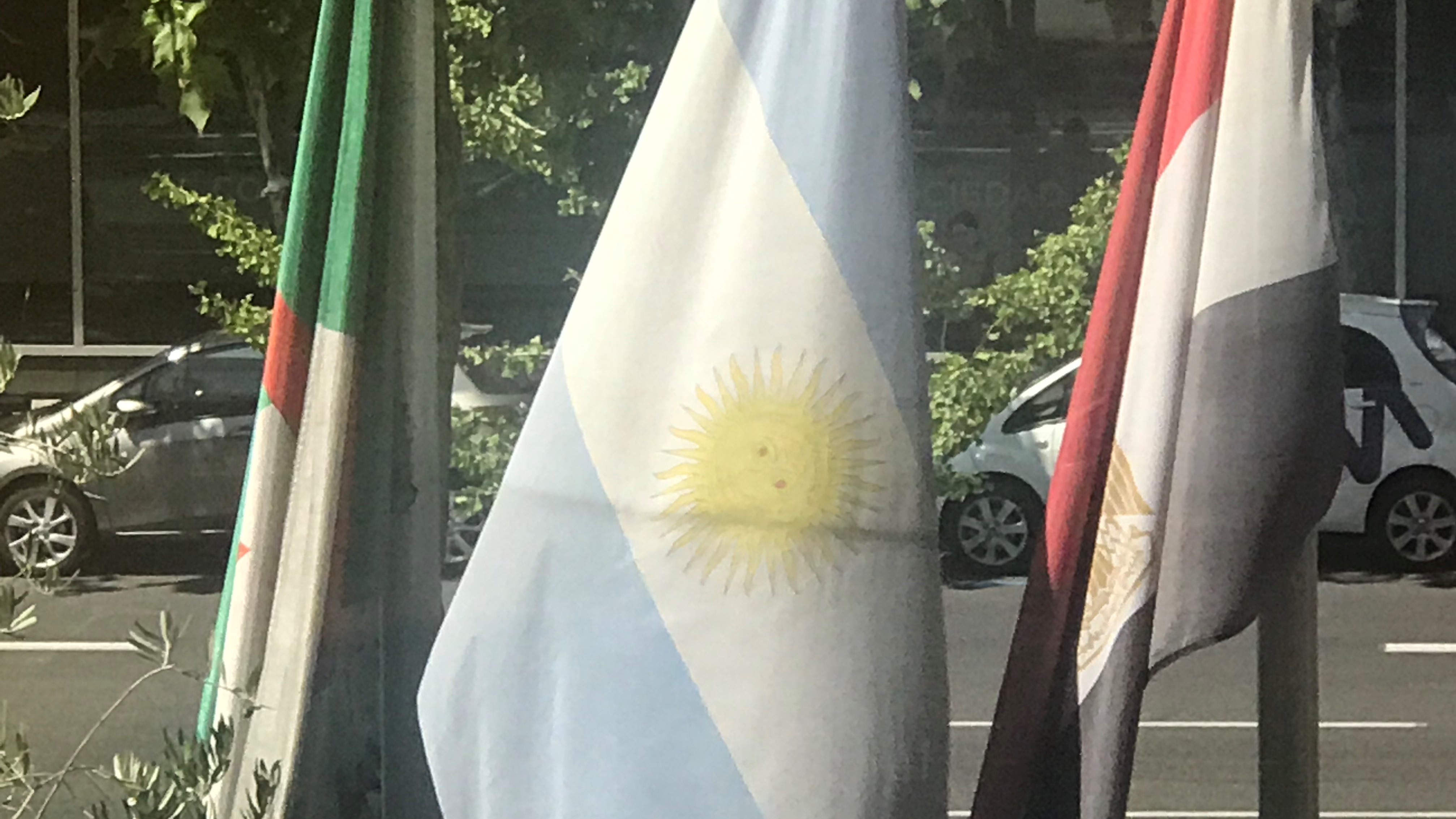 argentina bandiera