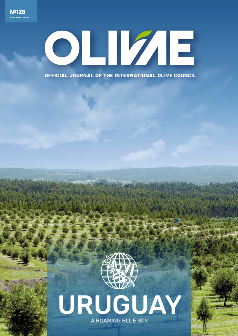Olivae 128 English edition cover