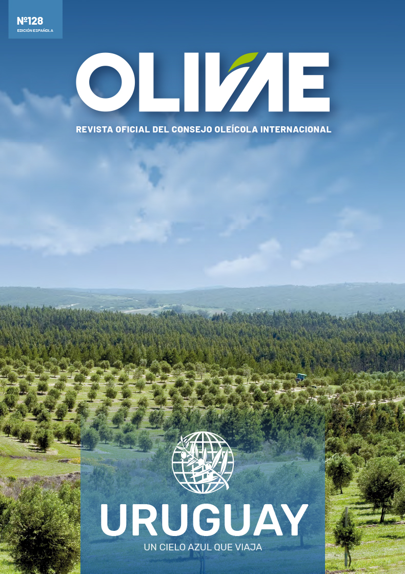 Olivae 128 Spanish edition cover