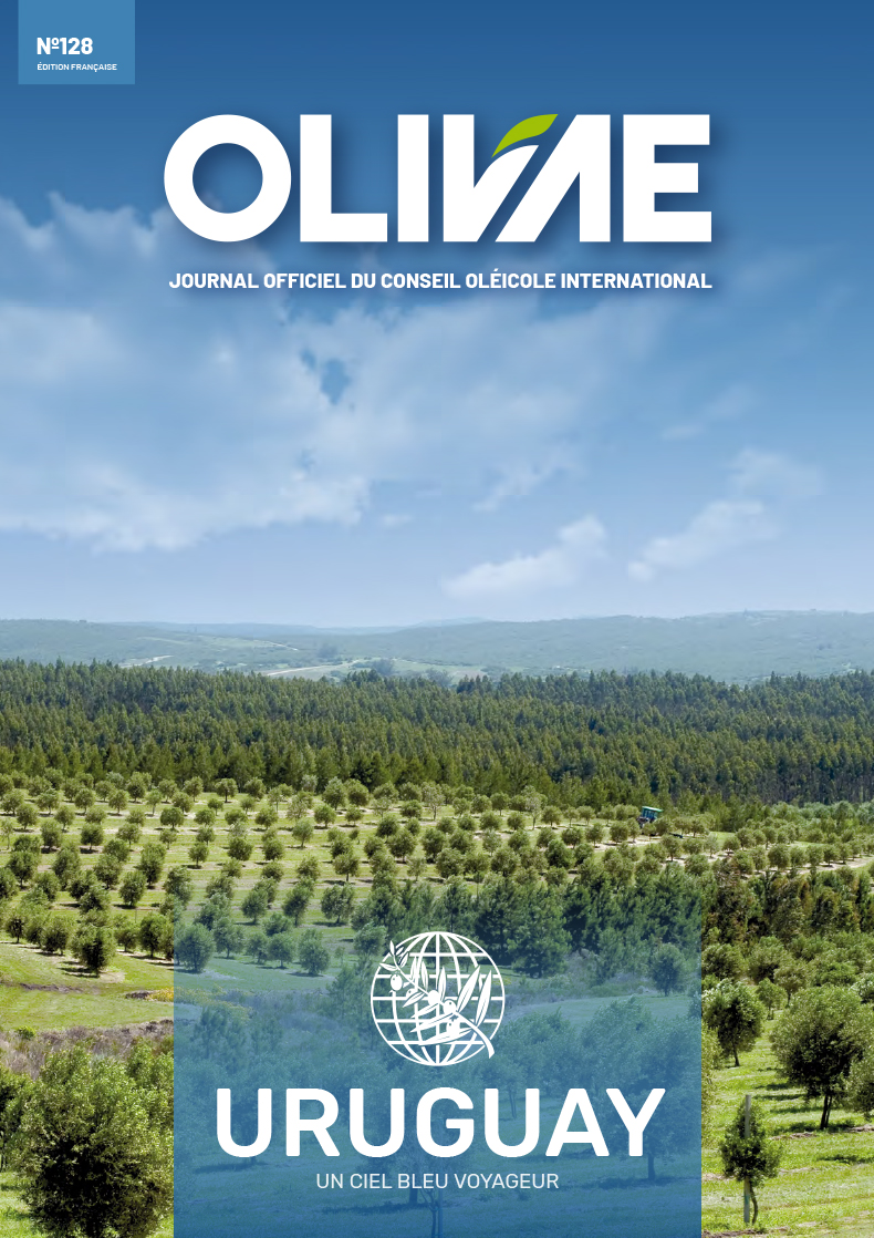 Olivae 128 French edition cover