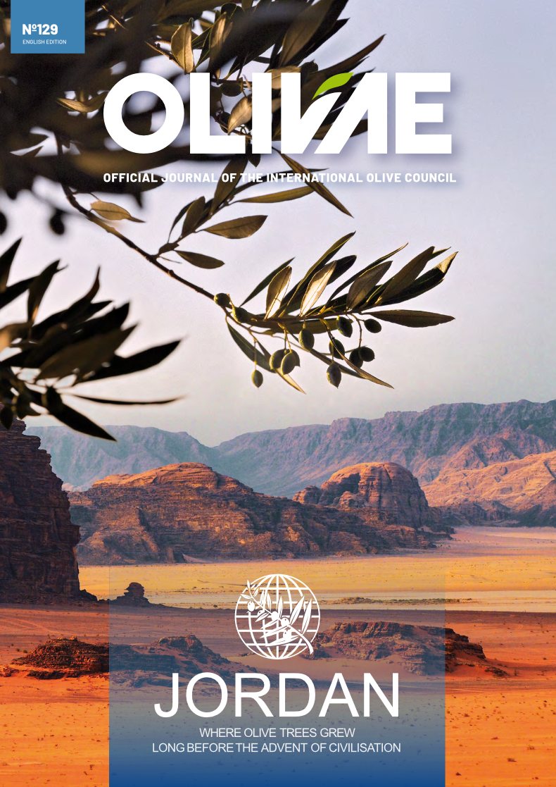Olivae 129 English edition cover