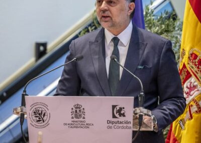 World Olive Day 2025: The Córdoba Declaration