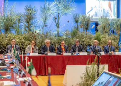 World Olive Day 2025: The Córdoba Declaration