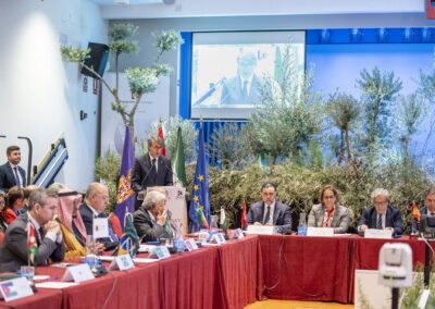 World Olive Day 2025: The Córdoba Declaration