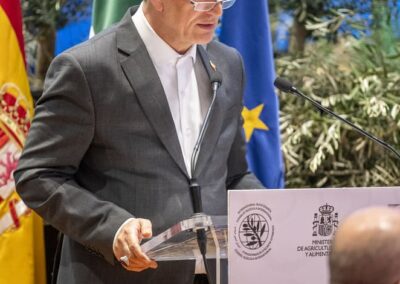 World Olive Day 2025: The Córdoba Declaration