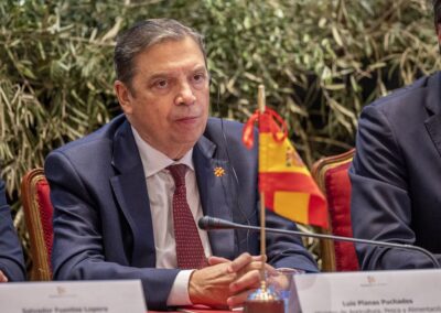 World Olive Day 2025: The Córdoba Declaration